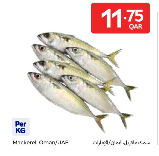 available at Carrefour in Qatar - Al-Shahaniya