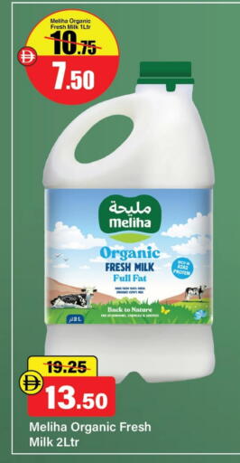 حليب البروتين available at الأسواق هايبرماركت in الإمارات العربية المتحدة , الامارات - رَأْس ٱلْخَيْمَة