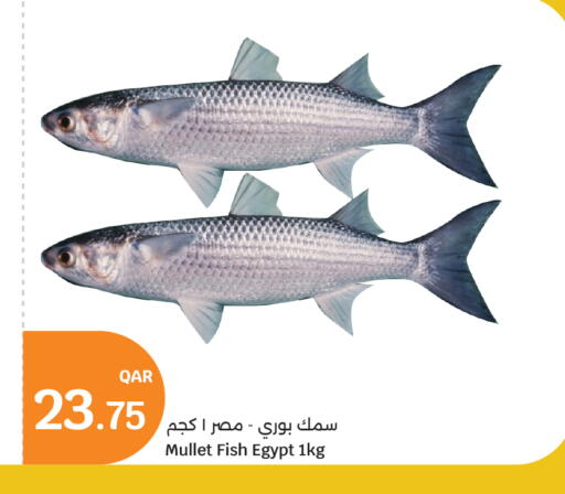 available at City Hypermarket in Qatar - Al-Shahaniya