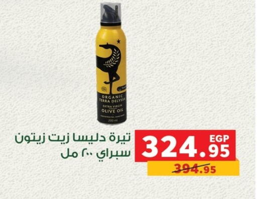Olive Oil available at Panda  in Egypt - Cairo