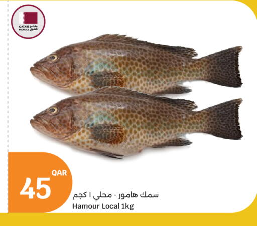 available at City Hypermarket in Qatar - Al-Shahaniya