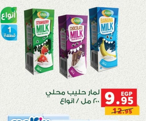 Flavoured Milk available at Panda  in Egypt - Cairo