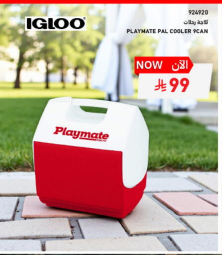 available at ساكو in مملكة العربية السعودية, السعودية, سعودية - تبوك