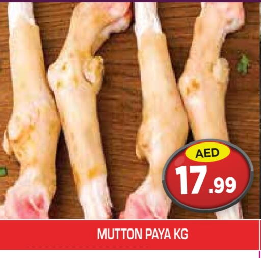 اللحوم الطازجة والمبردة in سنابل بني ياس, UAE Offers - الإمارات العربية المتحدة لحم الضأن / الغنم available at سنابل بني ياس in الإمارات العربية المتحدة , الامارات - رَأْس ٱلْخَيْمَة