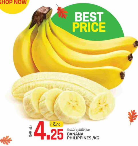 موز from Philippines available at كنز ميني مارت in قطر - الشحانية