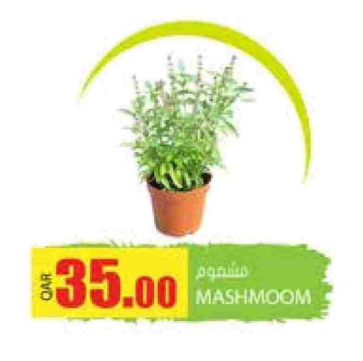 available at Grand Hypermarket in Qatar - Doha
