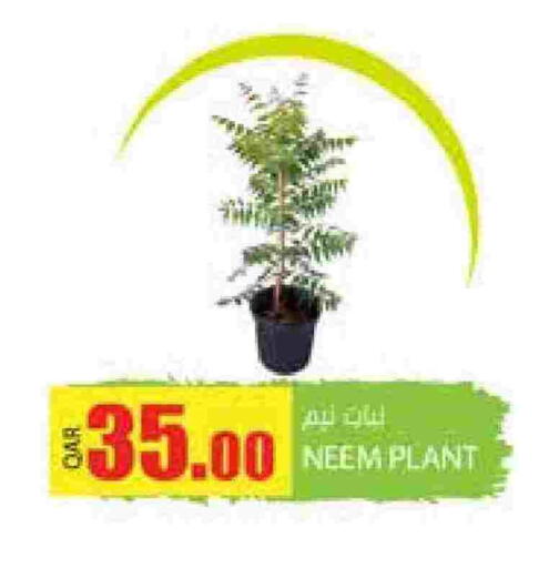 available at Grand Hypermarket in Qatar - Al-Shahaniya