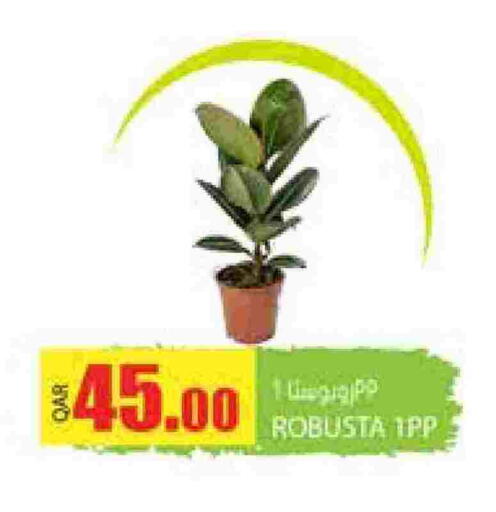 available at Grand Hypermarket in Qatar - Doha