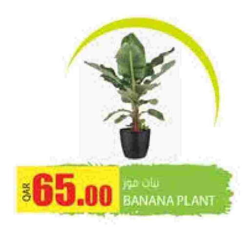 Banana available at Grand Hypermarket in Qatar - Al-Shahaniya
