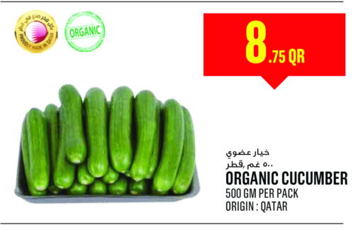 Cucumber in Monoprix Qatar Al Daayen D4D Online