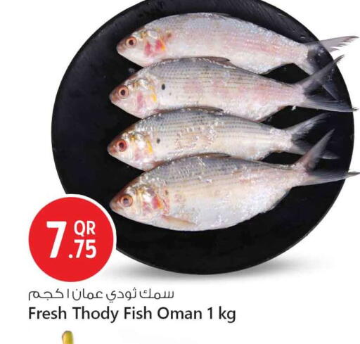 available at Safari Hypermarket in Qatar - Al-Shahaniya