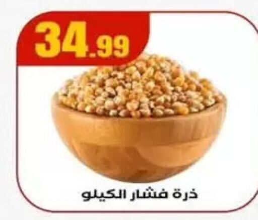 available at المحلاوي ستورز in Egypt - القاهرة