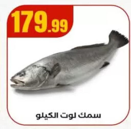 available at MartVille in Egypt - Cairo