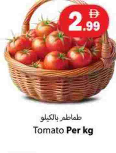 طماطم available at زين مارت سوبرماركت in الإمارات العربية المتحدة , الامارات - رَأْس ٱلْخَيْمَة