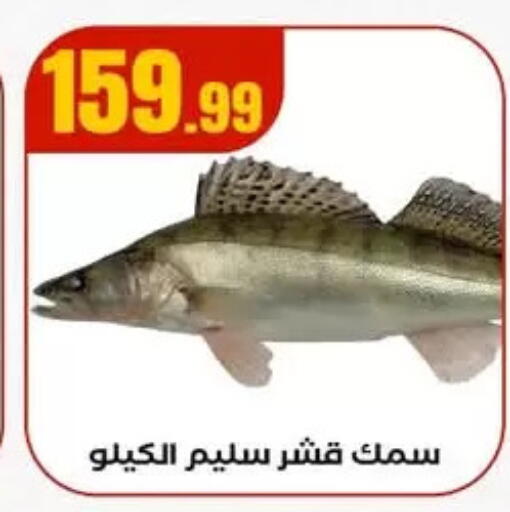 available at MartVille in Egypt - Cairo