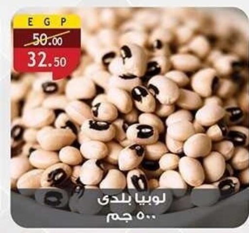 available at الرايه  ماركت in Egypt - القاهرة