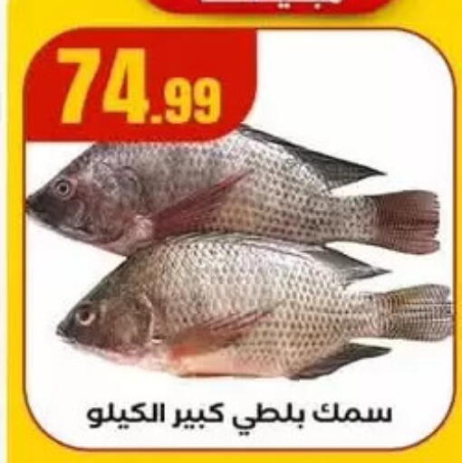 available at MartVille in Egypt - Cairo
