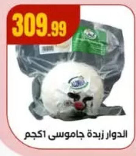 available at El Mahlawy Stores in Egypt - Cairo