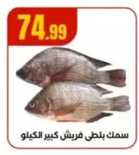 available at MartVille in Egypt - Cairo