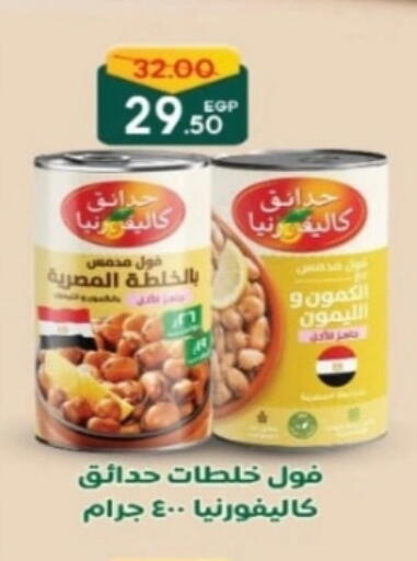 CALIFORNIA GARDEN Fava Beans available at Galhom Market in Egypt - Cairo