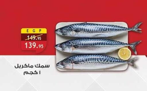 available at Al Rayah Market   in Egypt - Cairo