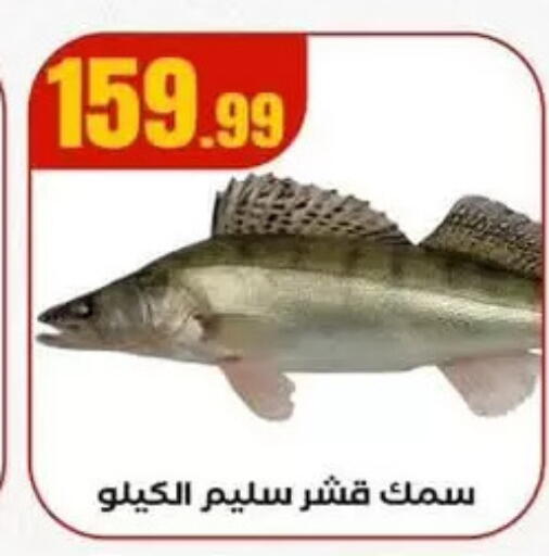 available at MartVille in Egypt - Cairo