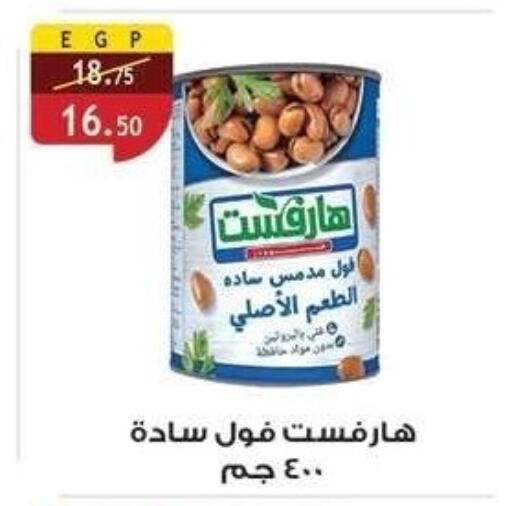 Fava Beans available at Al Rayah Market   in Egypt - Cairo