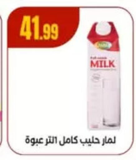 Full Cream Milk available at MartVille in Egypt - Cairo