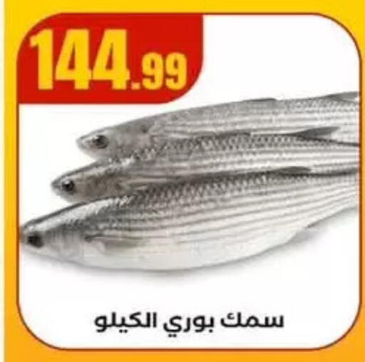 available at MartVille in Egypt - Cairo