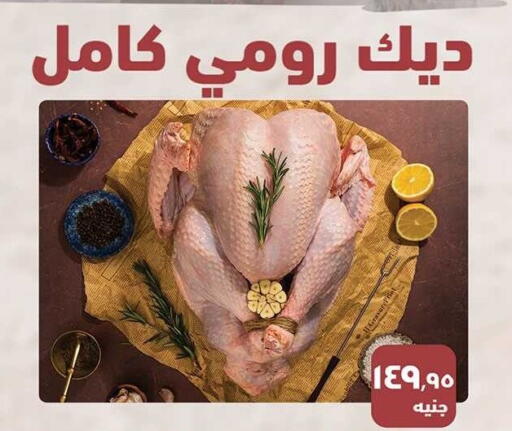 دجاج كامل طازج available at الرايه  ماركت in Egypt - القاهرة
