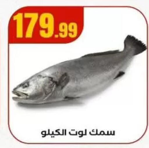 available at MartVille in Egypt - Cairo