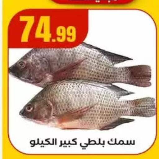 available at MartVille in Egypt - Cairo