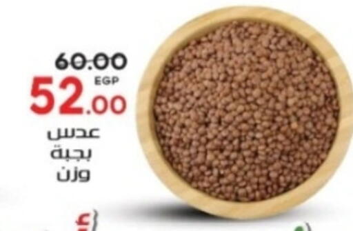 available at جلهوم ماركت in Egypt - القاهرة
