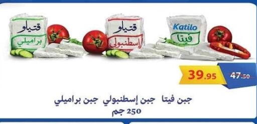 كتيلو فيتا available at الرايه  ماركت in Egypt - القاهرة