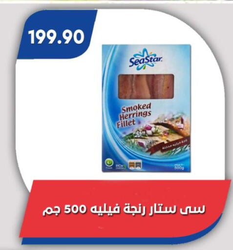 available at Bassem Market in Egypt - Cairo