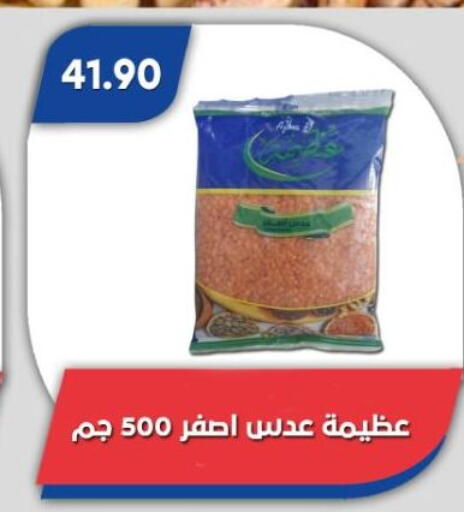 available at باسم ماركت in Egypt - القاهرة