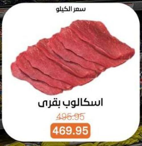 available at بيت الجملة in Egypt - القاهرة