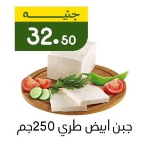 available at خان الحسين in Egypt - القاهرة
