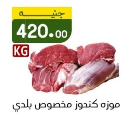 available at خان الحسين in Egypt - القاهرة