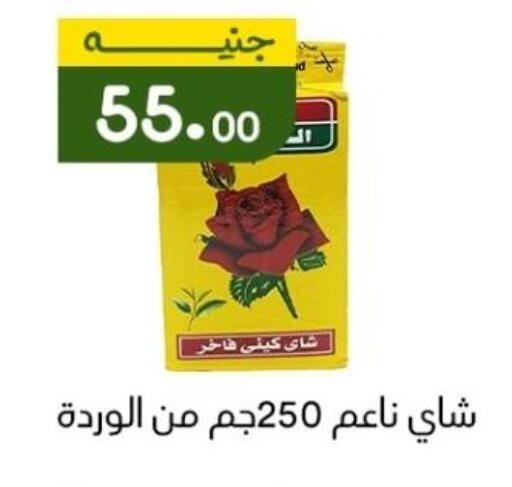 أكياس شاي available at خان الحسين in Egypt - القاهرة