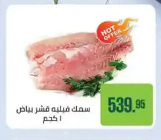 available at Seoudi Supermarket in Egypt - Cairo