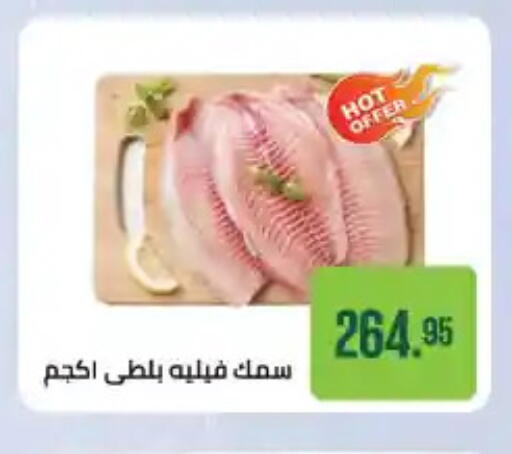 available at Seoudi Supermarket in Egypt - Cairo