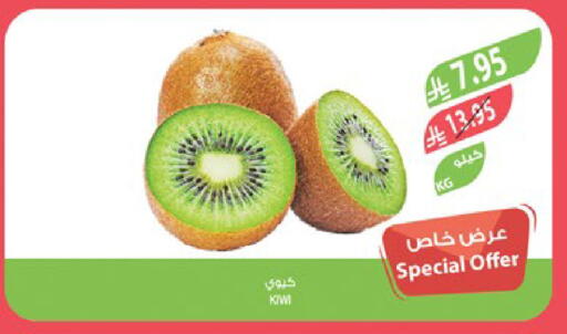 كيوي available at المزرعة in مملكة العربية السعودية, السعودية, سعودية - تبوك