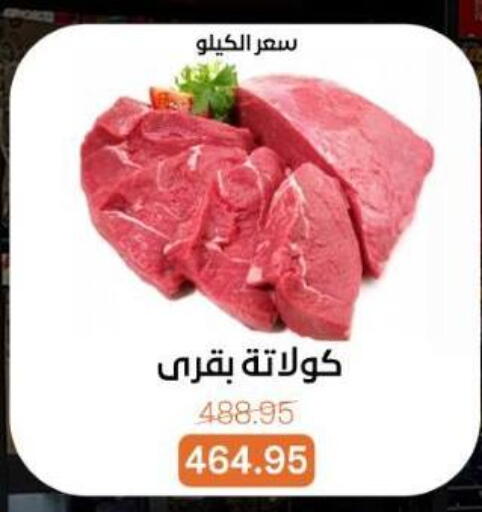 available at بيت الجملة in Egypt - القاهرة