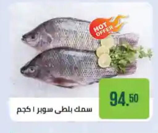 available at Seoudi Supermarket in Egypt - Cairo
