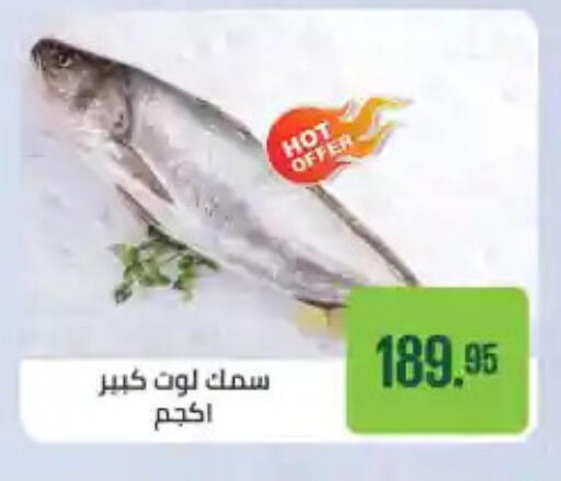 available at Seoudi Supermarket in Egypt - Cairo