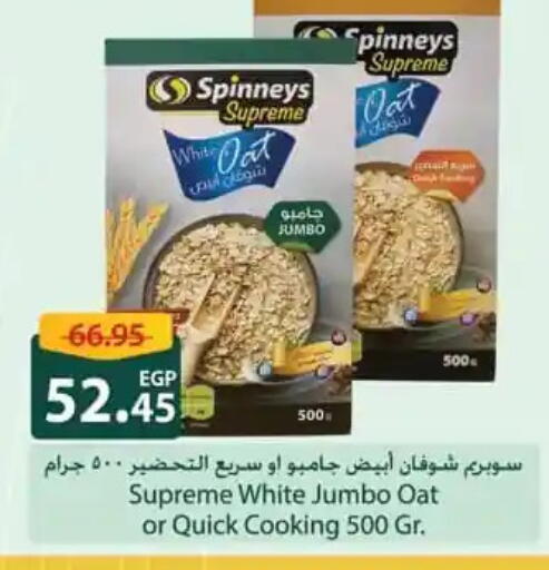 Oats available at Spinneys  in Egypt - Cairo