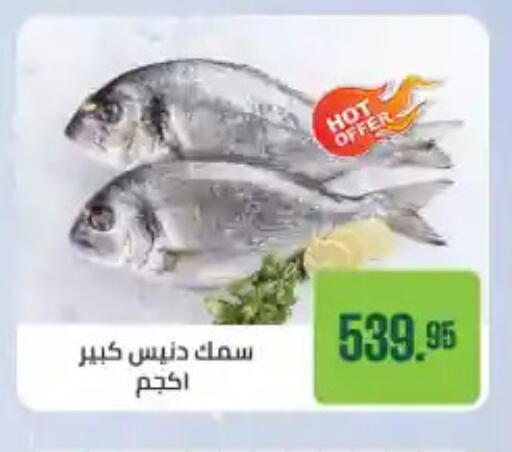 available at Seoudi Supermarket in Egypt - Cairo