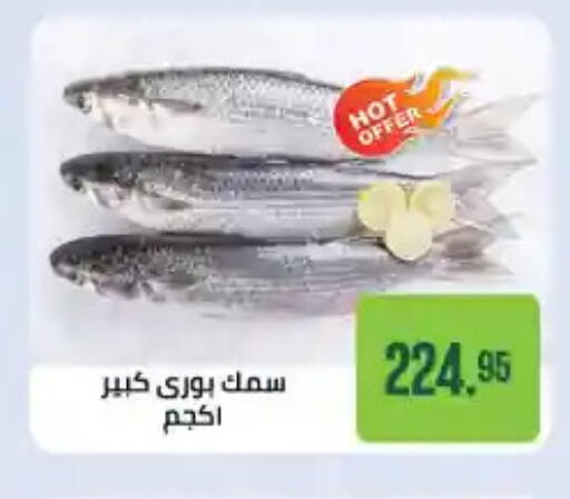 available at Seoudi Supermarket in Egypt - Cairo