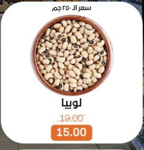 available at بيت الجملة in Egypt - القاهرة